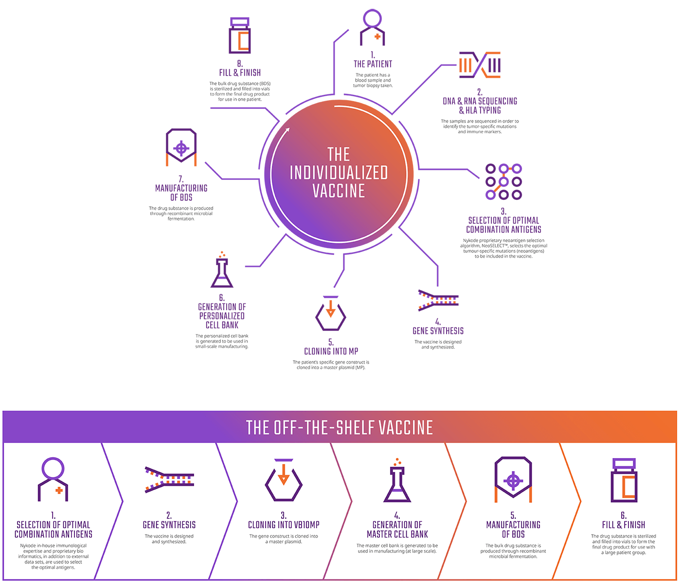 Individualized-and-CVI-infographics